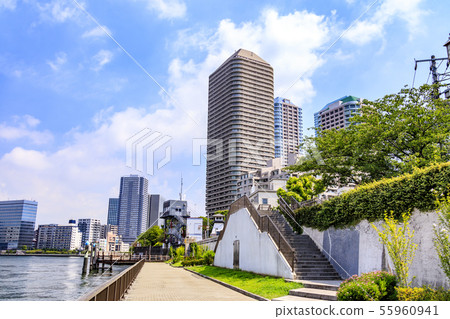隅田川(夏天) 隅田川(夏天) 55960941