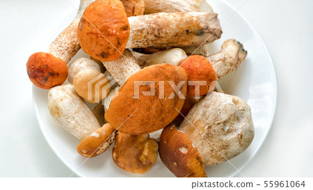 Brown mushrooms in a bowl on a white background. close up 55961064