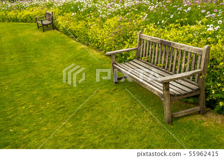 Empty Bench In Park Empty Bench In Park 55962415