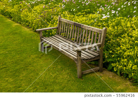 Empty Bench In Park Empty Bench In Park 55962416
