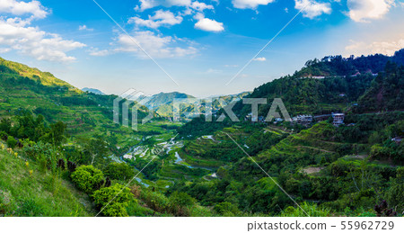 Banaue Rice Terraces菲律賓 Banaue Rice Terraces菲律賓 55962729