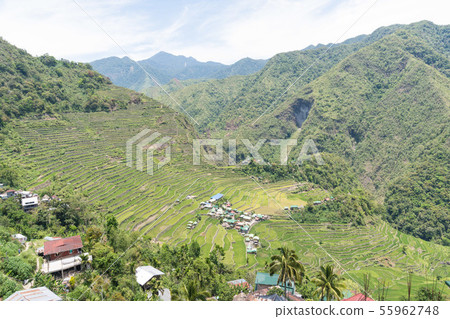 Banaue Rice Terraces菲律賓 Banaue Rice Terraces菲律賓 55962748