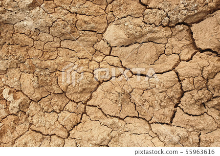 Cracked earth Cracked earth 55963616