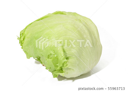 Lettuce (depth synthesis) Lettuce (depth synthesis) 55963713