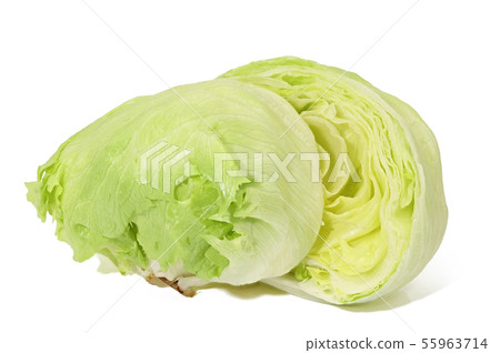 Lettuce (depth synthesis) Lettuce (depth synthesis) 55963714