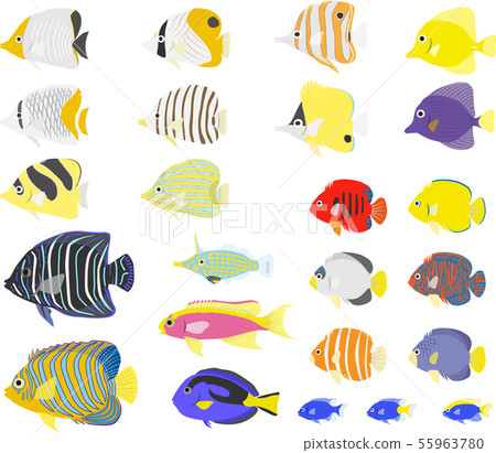 鹹水魚套 鹹水魚套 55963780