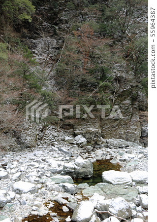 冬天河 55964387