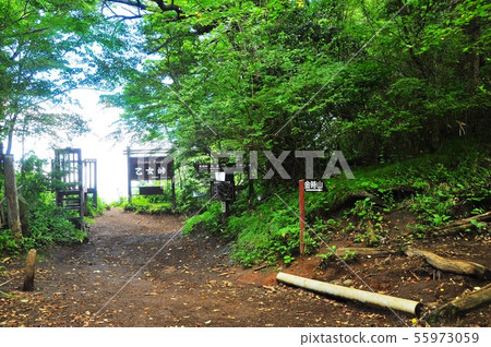 Gotemba City Otome Pass Observatory and Mt. Gotemba City Otome Pass Observatory and Mt. 55973059