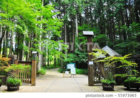 Gotemba City Chichibunomiya Memorial Park Central Gate and Walking Path 55973065