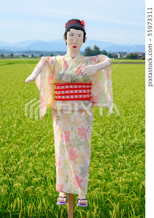 稻草人/稻草人[石川縣能美市大長野卡卡西公路] 55973311