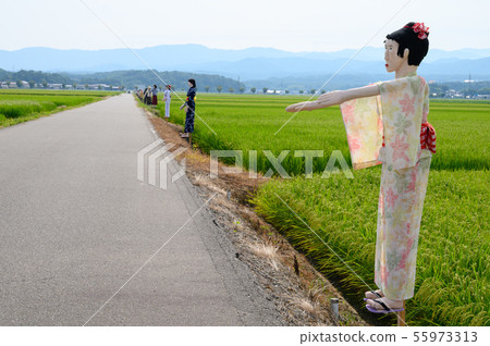稻草人/稻草人[石川縣能美市大長野卡卡西公路] 55973313