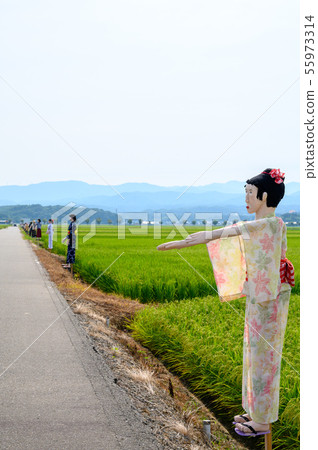 稻草人/稻草人[石川縣能美市大長野卡卡西公路] 55973314