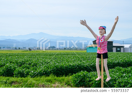 稻草人/稻草人[石川縣能美市大長野卡卡西公路] 55973337