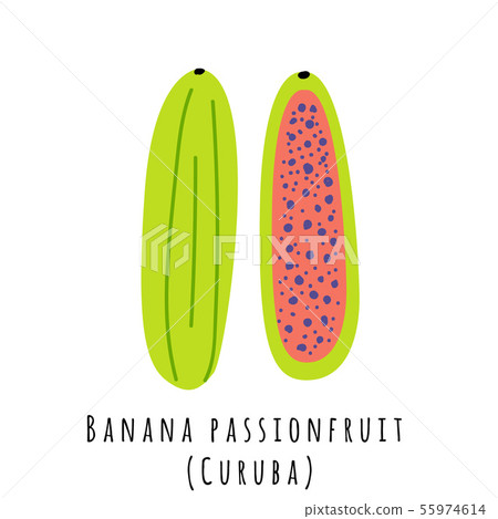 Banana passion fruit flat vector illustration Banana passion fruit flat vector illustration 55974614