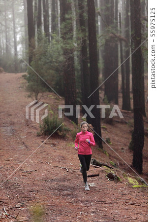 Woman running in forest woods training Woman running in forest woods training 55975125