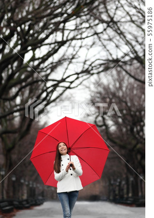 Umbrella woman walking in Central Park in winter Umbrella woman walking in Central Park in winter 55975186