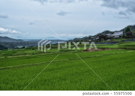 鄉村景觀 鄉村景觀 55975500