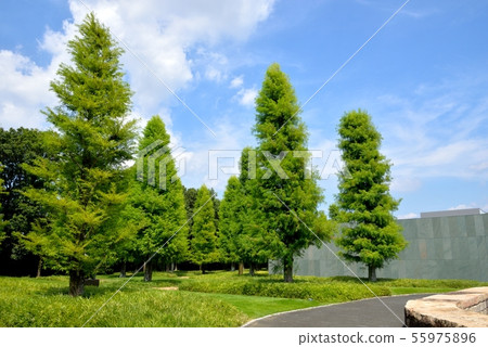 豐田市藝術博物館 豐田市藝術博物館 55975896