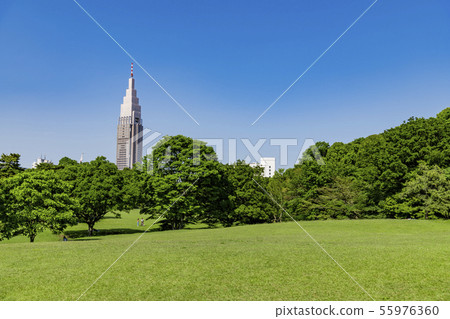 [草坪公園] 55976360