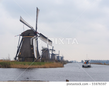 Netherlands rural landscape with windmills Netherlands rural landscape with windmills 55976597