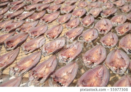 Dried fish on Koh Samui fish market 55977308