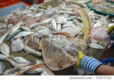 蘇梅島魚市場 55977310