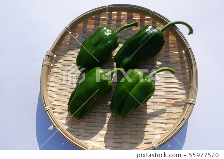 green pepper  55977520