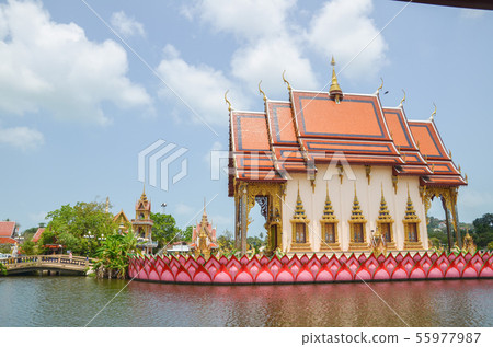 Wat Puri Lame 55977987