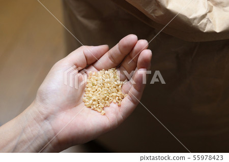 棕櫚飯 棕櫚飯 55978423