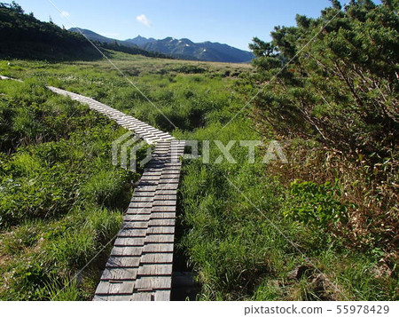 夏天的山 夏天的山 55978429