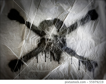 摘要玫瑰 55979219