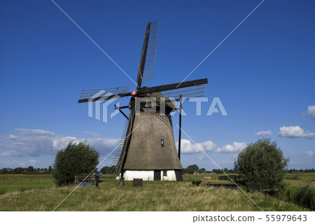 Oude Doornse windmill Oude Doornse windmill 55979643