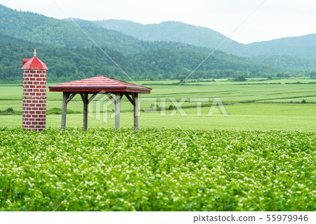 Soba Flower Observatory in Horokanai Soba Flower Observatory in Horokanai 55979946