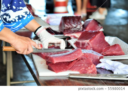 Tuna dismantling show Material background Akune City Kagoshima Prefecture 55980014