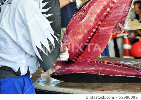 金槍魚拆解秀 鹿兒島縣阿久根市 素材背景 55980099