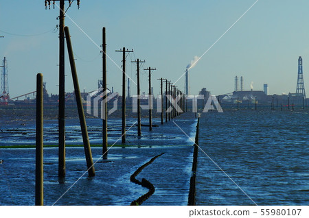 Egawa Beach 55980107