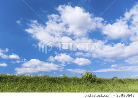 藍天 雲彩和草原背景材料 照片素材 圖片 圖庫