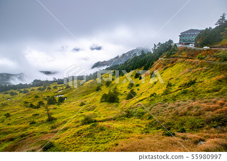 臺灣合歡山山脈景觀Asia Taiwan Hehuanshan Mountains 55980997