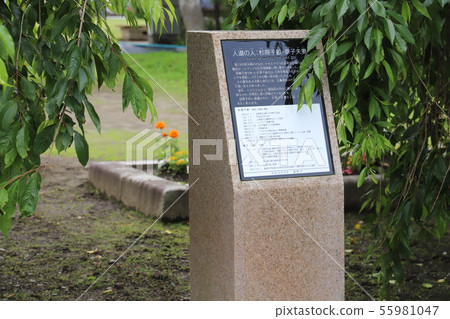 杉原千佳 55981047