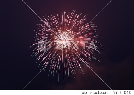 煙花 55981048