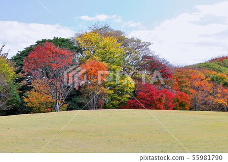 秋葉的Kanazawa城堡公園 秋葉的Kanazawa城堡公園 55981790