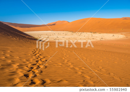 Red sand dunes in Deadvlei, Sossusvlei 55981940