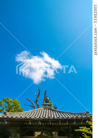 Shimaji Shimaji 55982005
