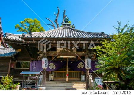 Shidotera Shidotera 55982010