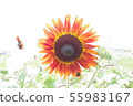 向日葵 55983167