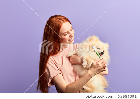 funny attractive girl brushing her pet's teeth funny attractive girl brushing her pet's teeth 55984091