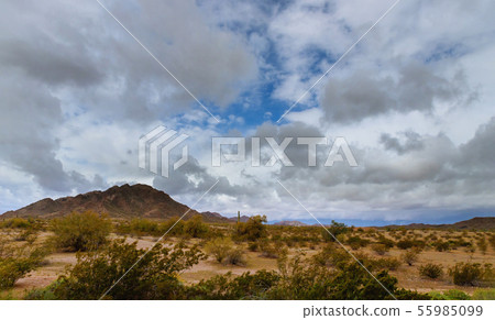 The diversity of the Arizona desert landscape with The diversity of the Arizona desert landscape with 55985099