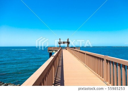 Evening Bridge (Sunny May) 55985253