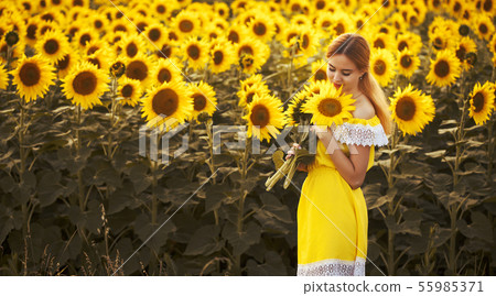 Cute woman in a blossoming sunflower field Cute woman in a blossoming sunflower field 55985371