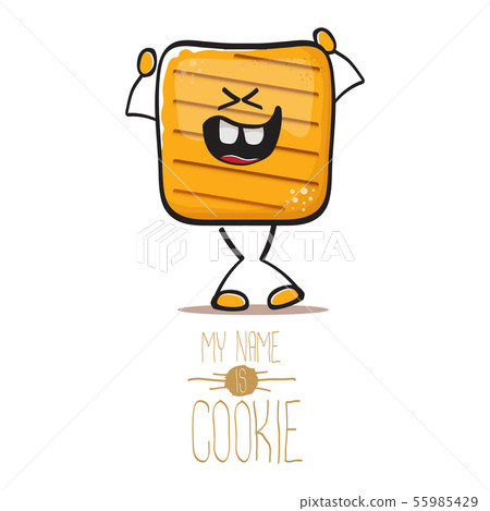vector funny hand drawn square cracker homemade chip cookie character isolated on white background 55985429